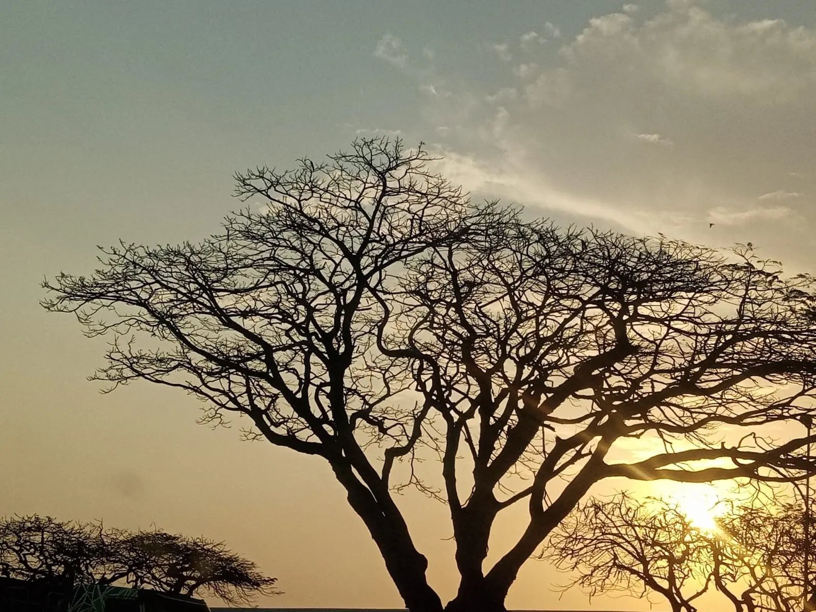 Ethlathini Rest Camp — 1